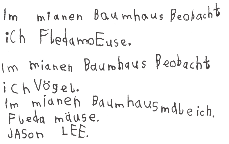 Text zum Baumhaus